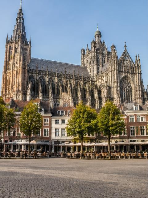 De Sint-Janskathedraal in 's-Hertogenbosch